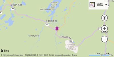 莱克西德湖村机场